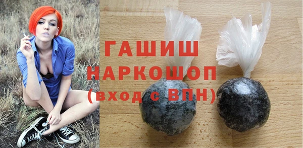 хмурый Пересвет