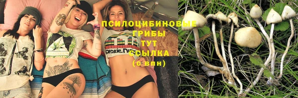 тгк Алексеевка