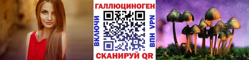 Галлюциногенные грибы GOLDEN TEACHER купить Балашов