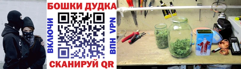 Канабис сатива  Балашов 
